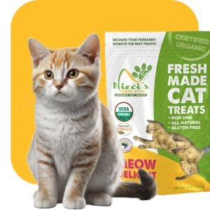 organic cat treats