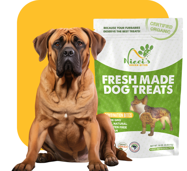 organic dog treats