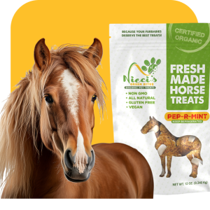 organic horse treats