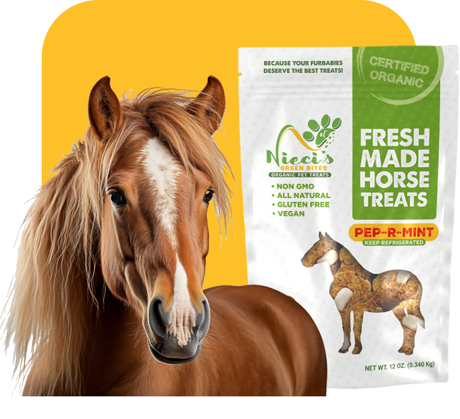 organic horse treats
